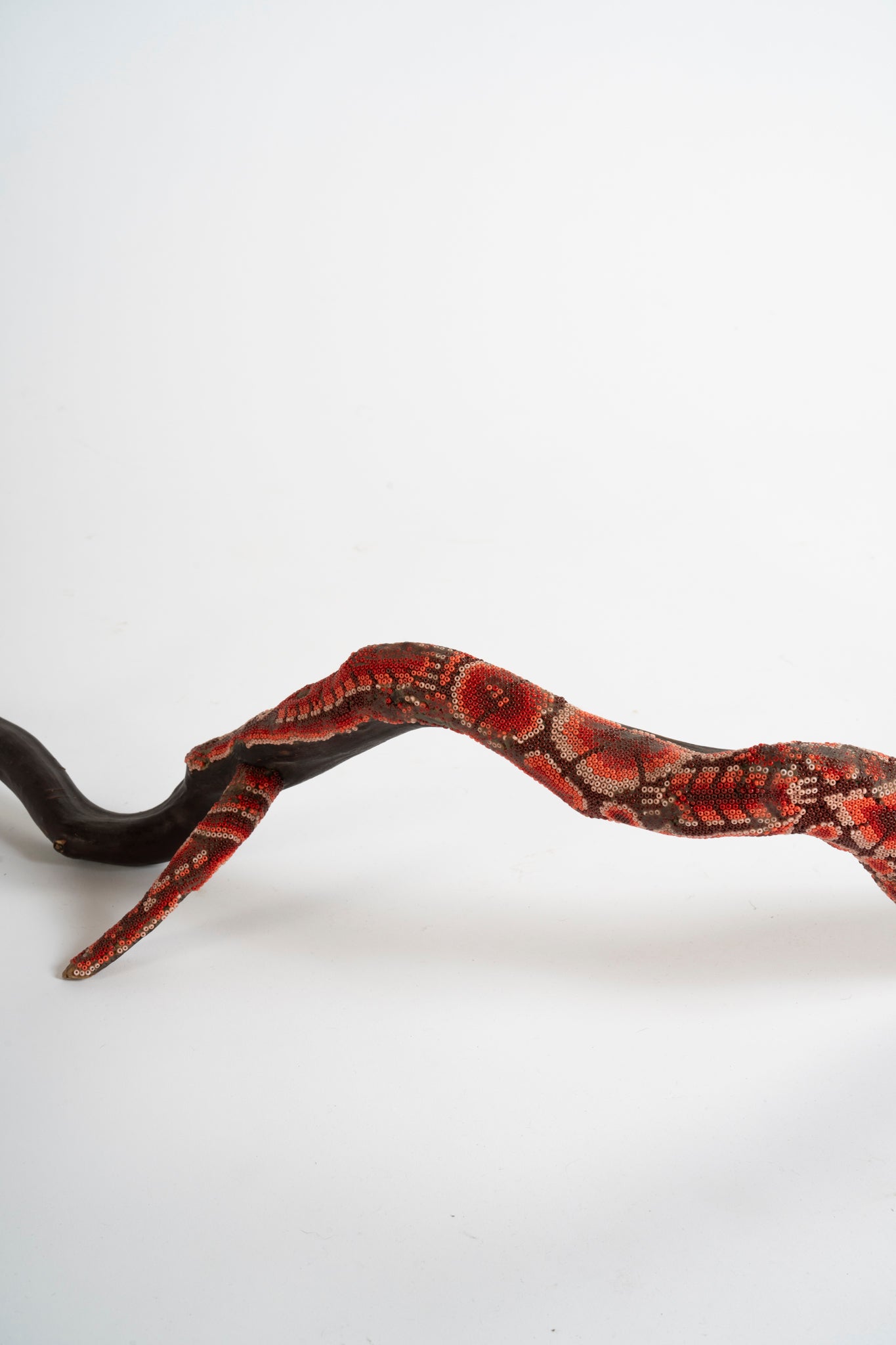 Rama Wixa con chaquira